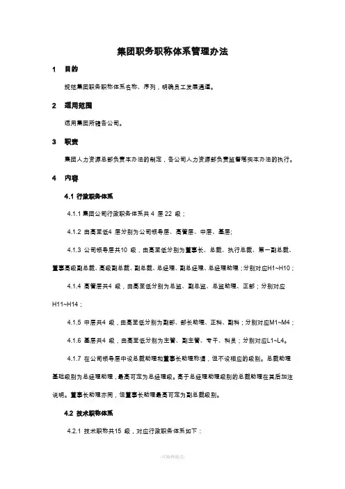 集团职务职称体系管理办法