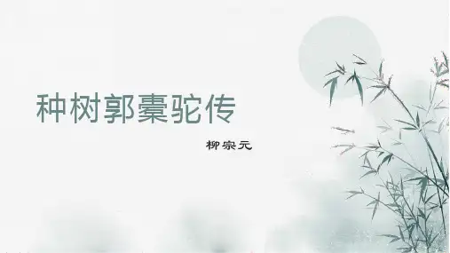 高中语文统编版选择性必修下册11.《种树郭橐驼传》课件(共40张ppt).ppt