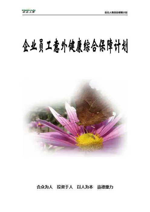 企业员工意外健康综合保障计划