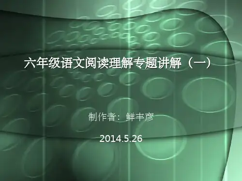 六年级语文现代文阅读ppt