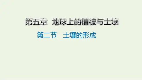 高中地理第五章地球上的植被与土壤第二节土壤的形成课件必修第一册