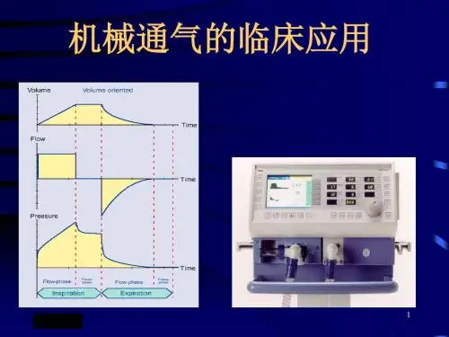 呼吸机临床应用基础知识ppt课件