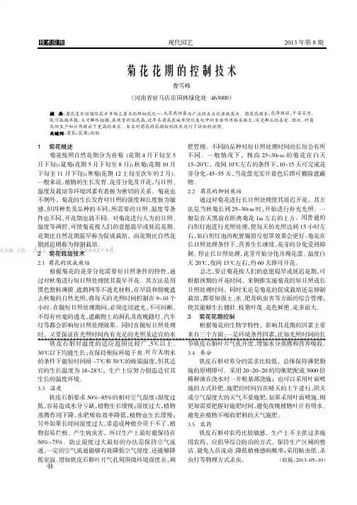菊花花期的控制技术      