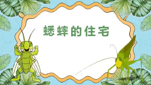 11《蟋蟀的住宅》  课件(共21张PPT)