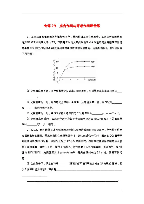 2023版新教材高考生物微专题小练习专练29光合作用与呼吸作用