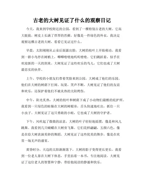 小学三年级作文古老的大树见证了什么的观察日记