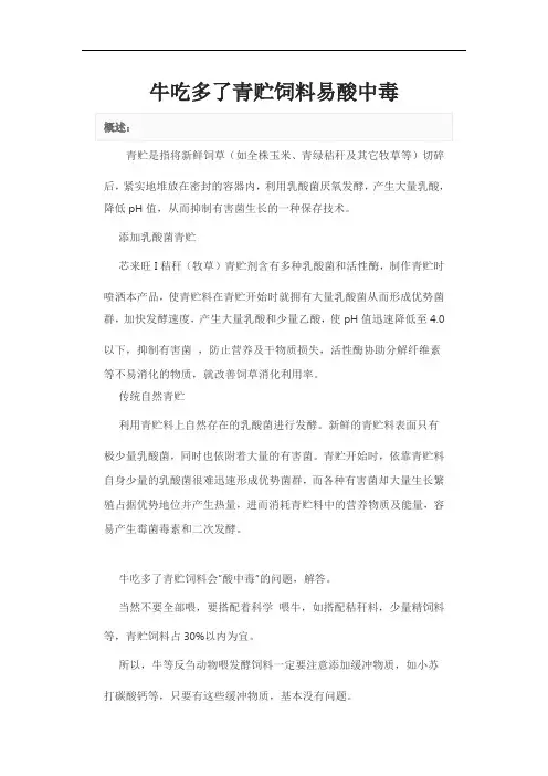 牛吃多了青贮饲料易酸中毒