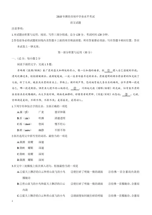 2018年山东省潍坊市中考语文试题(含答案)