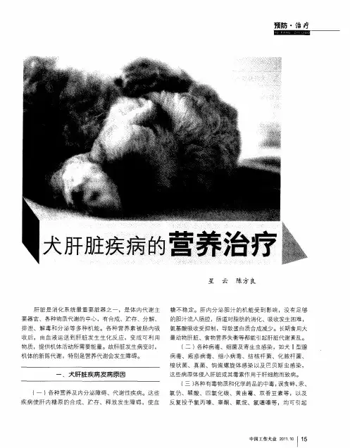 犬肝脏疾病的营养治疗