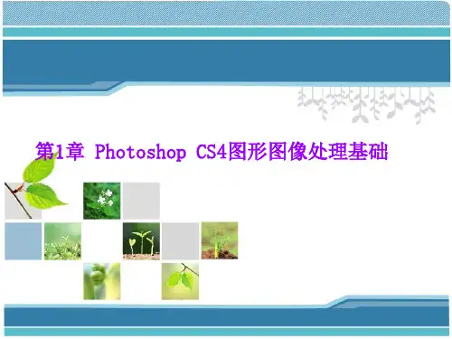 ps基本操作ppt概述