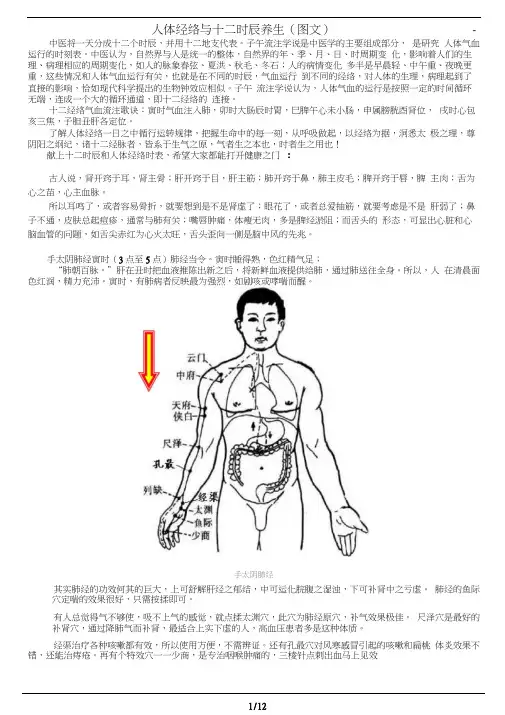 人体经络与十二时辰养生(图文)