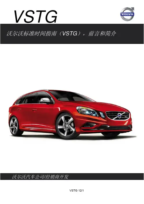 VSTG_cn