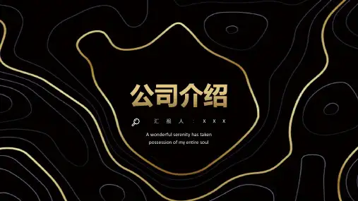 黑金高端企业宣传公司介绍ppt模板