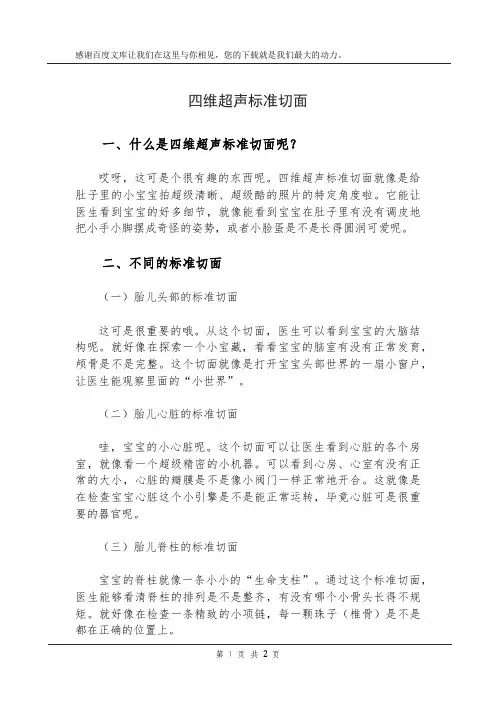 四维超声标准切面