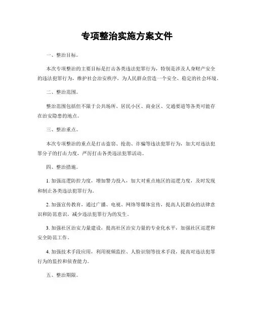 专项整治实施方案文件