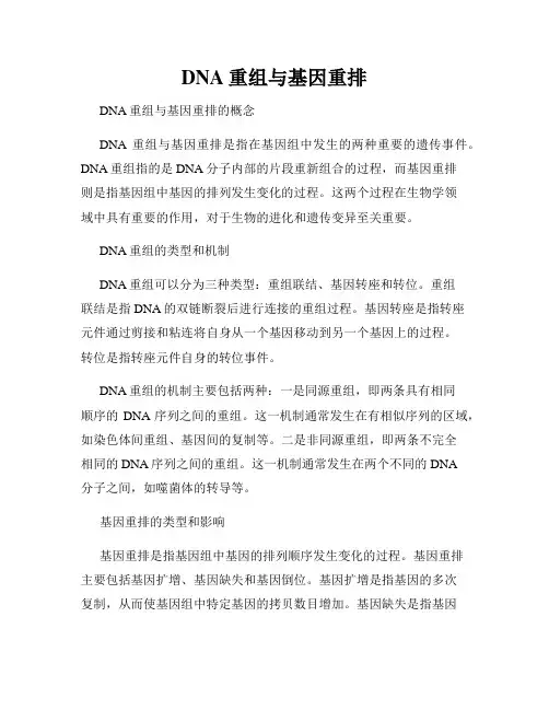 DNA重组与基因重排