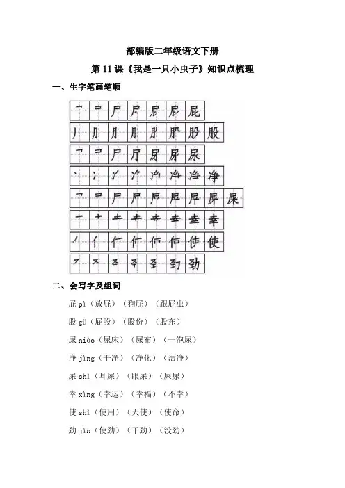 部编版二年级语文下册第11课《我是一只小虫子》知识点梳理