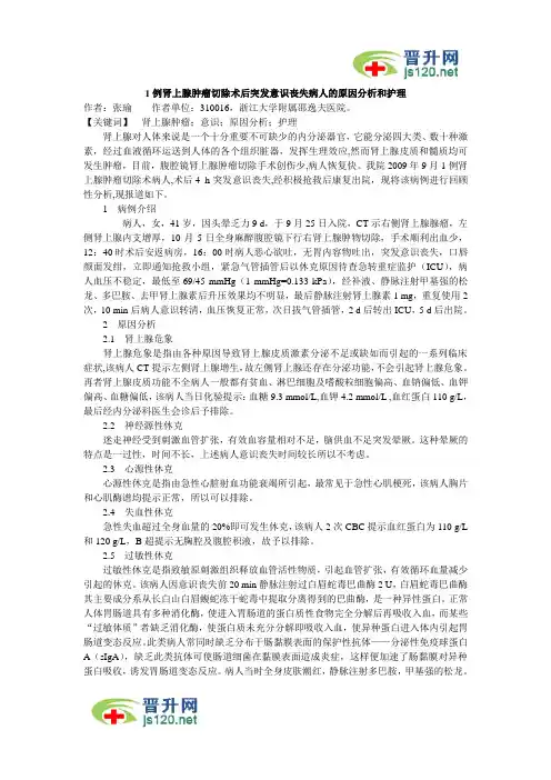医学护理文献 (23)