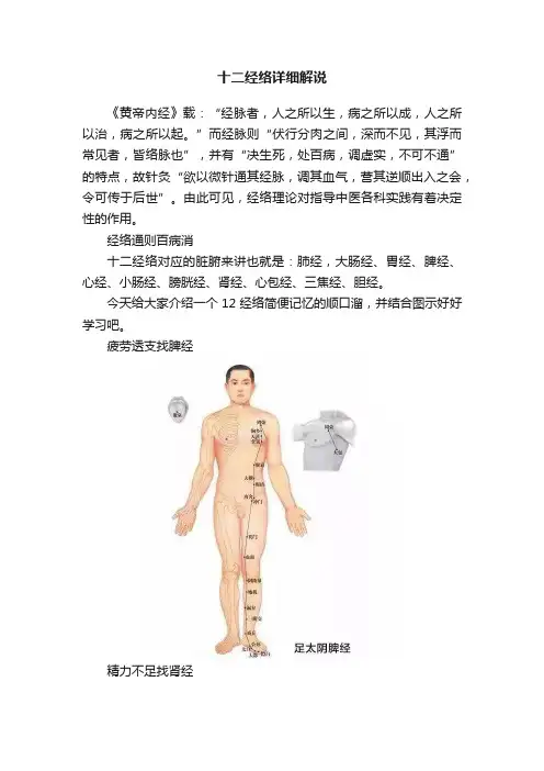 十二经络详细解说