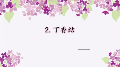部编版六年级语文上册2丁香结课件(共18张PPT)
