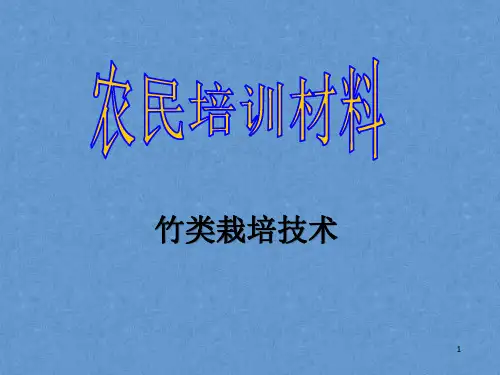 农民技术培训——竹类栽培技术课件