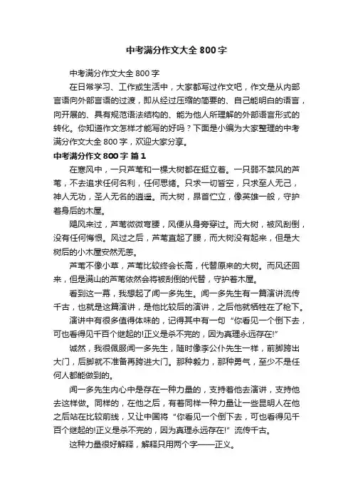 中考满分作文大全800字