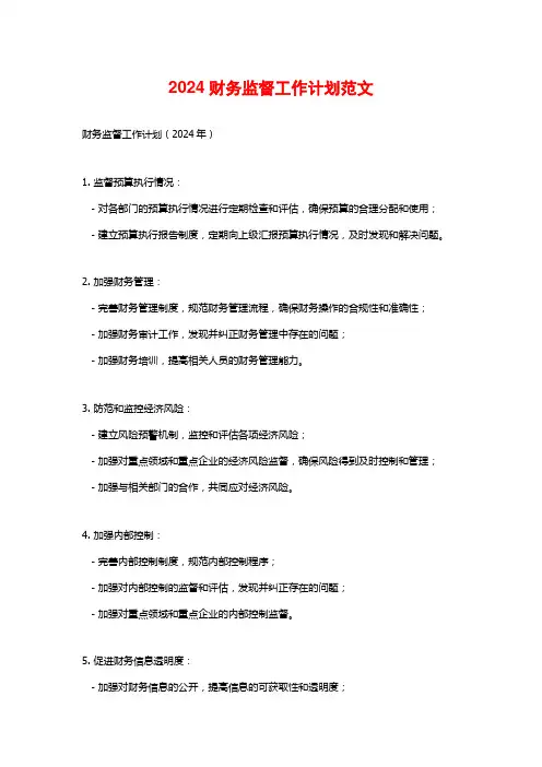 2024财务监督工作计划范文