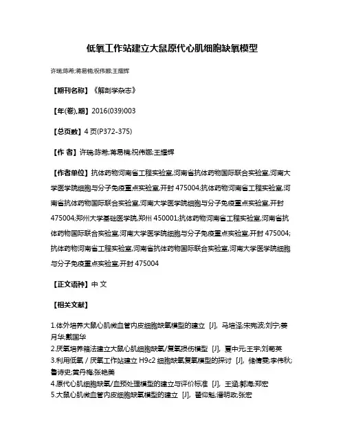 低氧工作站建立大鼠原代心肌细胞缺氧模型