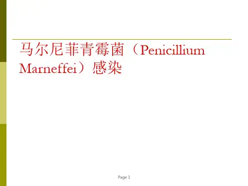 马尔尼菲青霉菌(马尔尼菲蓝状菌)感染 (2)ppt课件