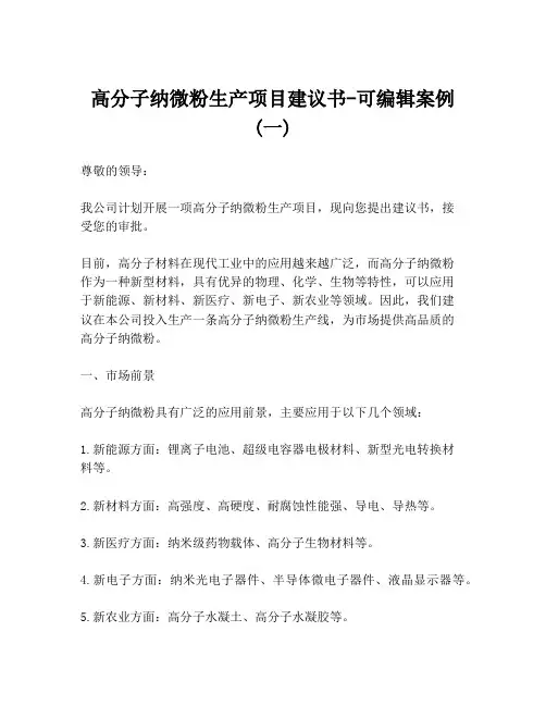 高分子纳微粉生产项目建议书-可编辑案例 (一)