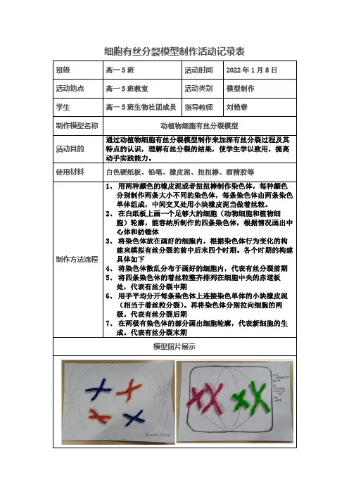 “神奇细胞之旅之有丝分裂中染色体变化模型制作”活动记录表 高一上学期生物人教版必修1
