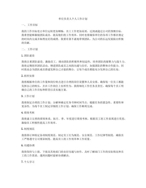 单位负责人个人工作计划