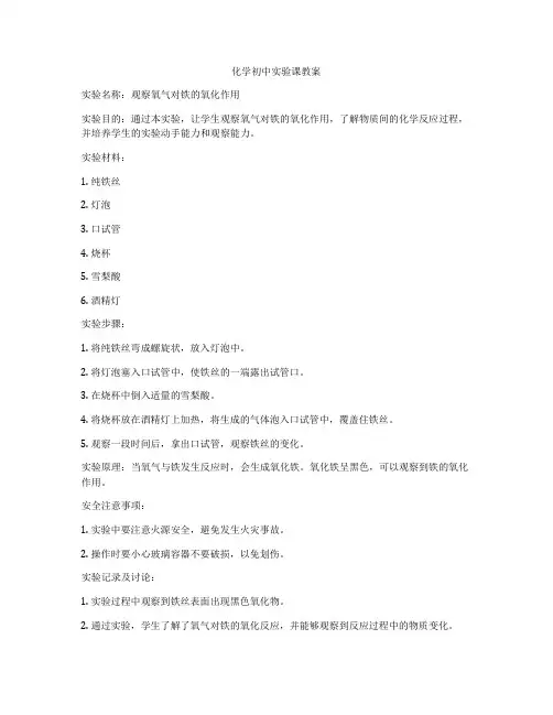 化学初中实验课教案