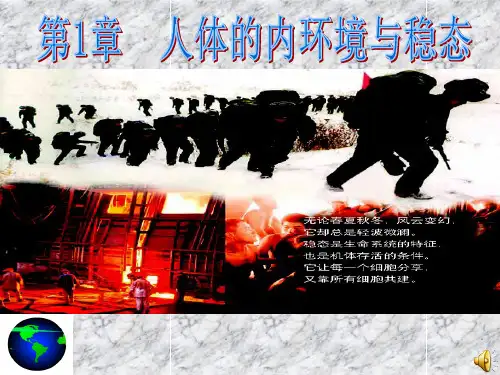 人教版教学课件生物：11《细胞生活的环境》课件(新人教版必修3)(共35张PPT)