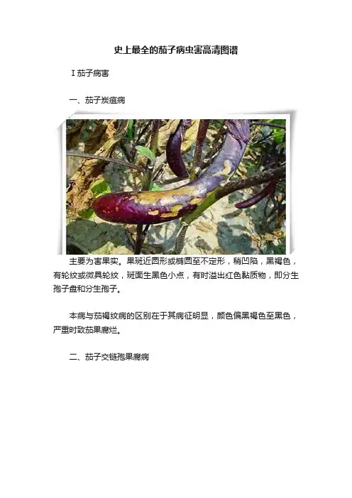 史上最全的茄子病虫害高清图谱