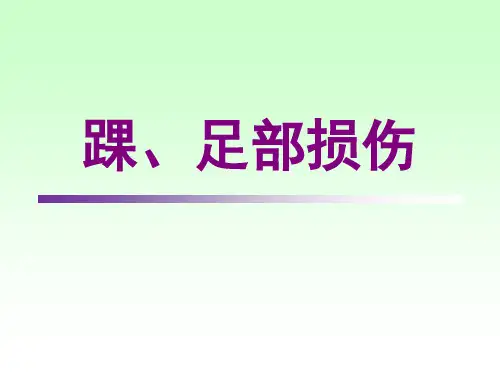 踝、足部损伤(骨伤科学课件)全