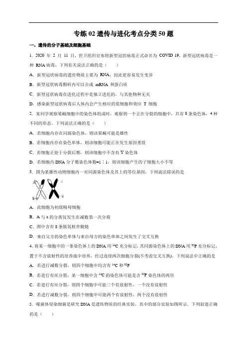 高中生物高考专练02 遗传与进化考点分类 题-2020年高考生物总复习考点必杀800题(原卷版)