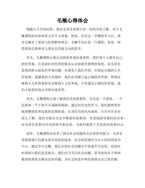 毛概心得体会