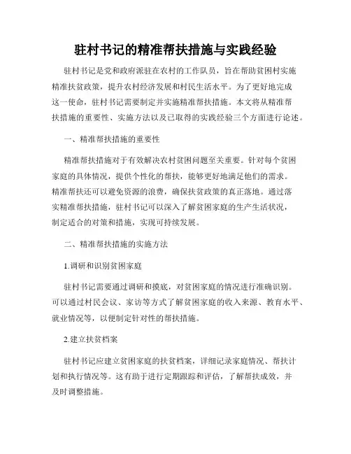 驻村书记的精准帮扶措施与实践经验