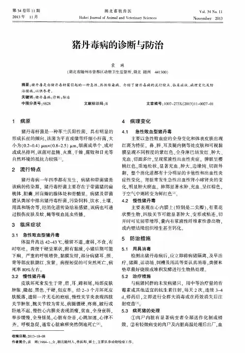 猪丹毒病的诊断与防治