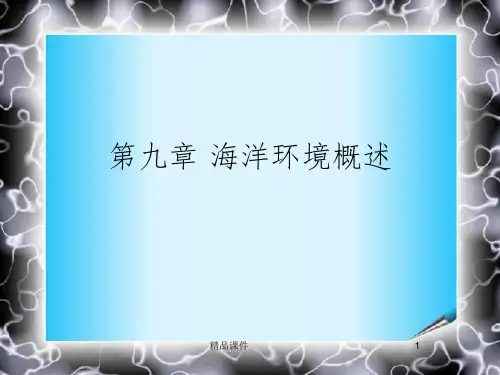 第九章 海洋环境概述ppt课件