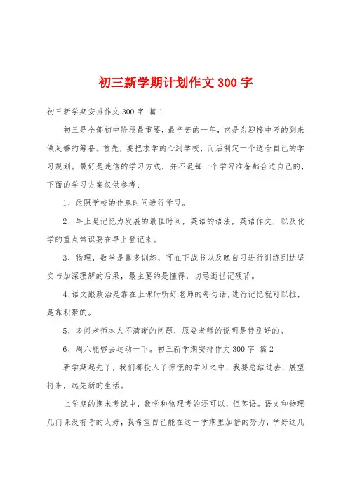 初三新学期计划作文300字
