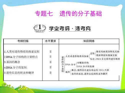 人类对遗传物质的探索过程-课件
