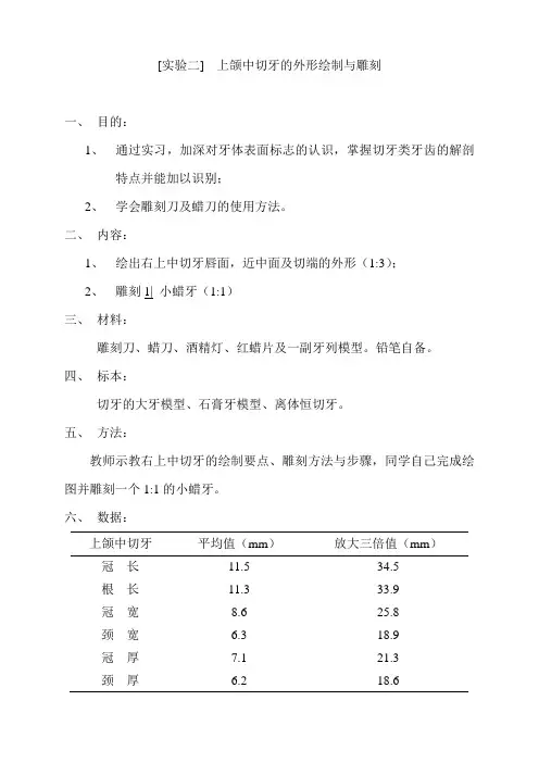 [实验二]上颌中切牙的外形绘制与雕刻