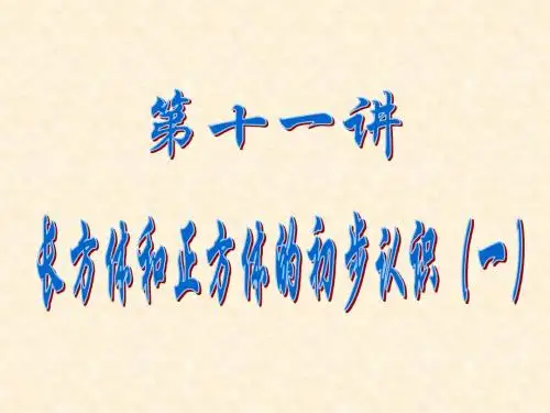 11 长、正方体的初步认识(一)