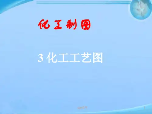 化工工艺图  ppt课件