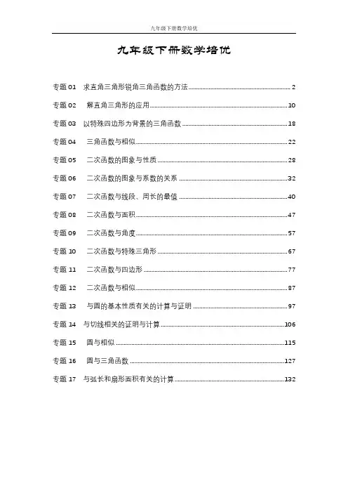 9年级下册数学培优讲义北师版(格式完整,其他年级看我个人发布)