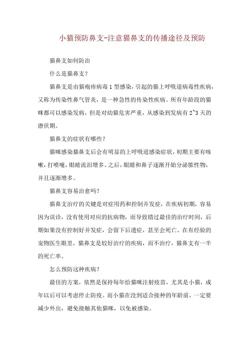 小猫预防鼻支-注意猫鼻支的传播途径及预防