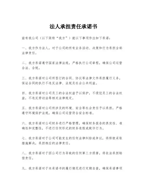法人承担责任承诺书