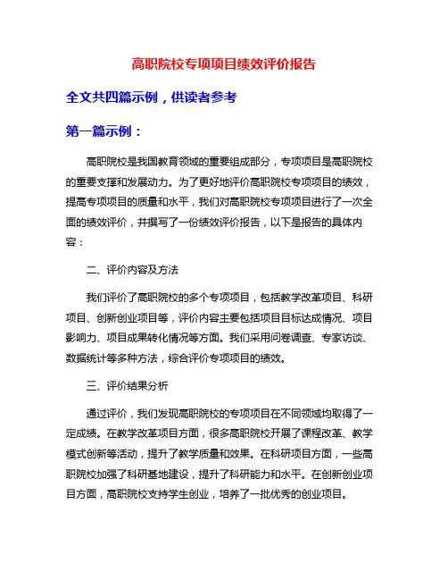 高职院校专项项目绩效评价报告